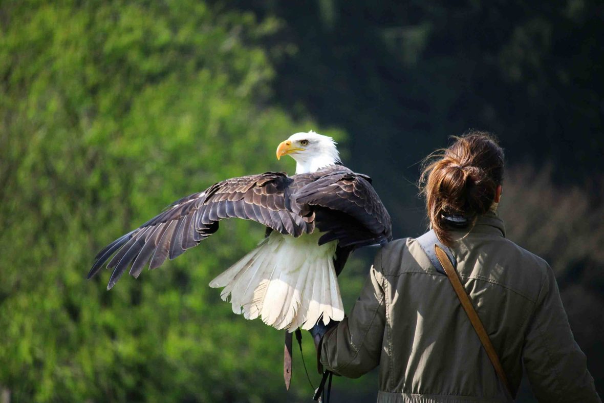 A woman with an eagle.