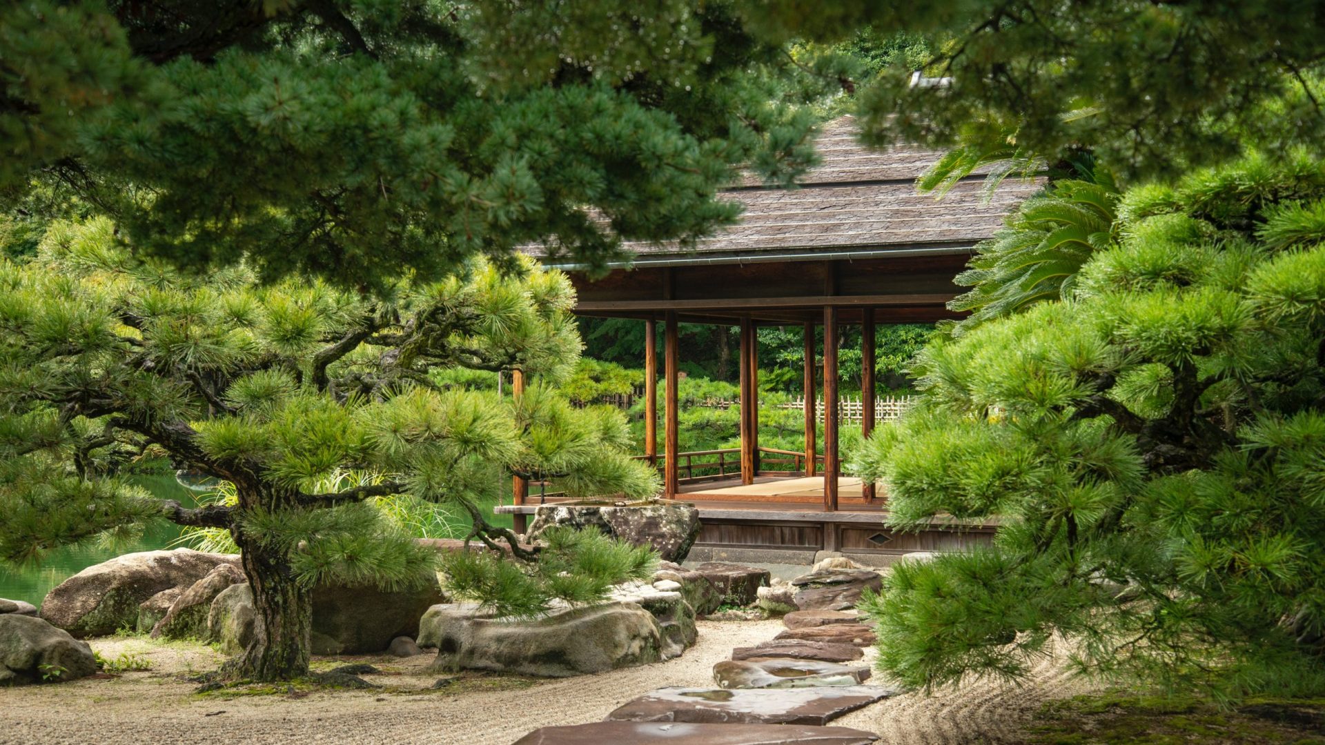 The unexpected highlight of a Japanese pilgrimage walk