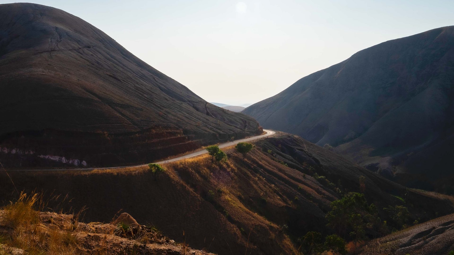 Climate change is threatening Madagascar’s famous forests: This study shows how serious it is