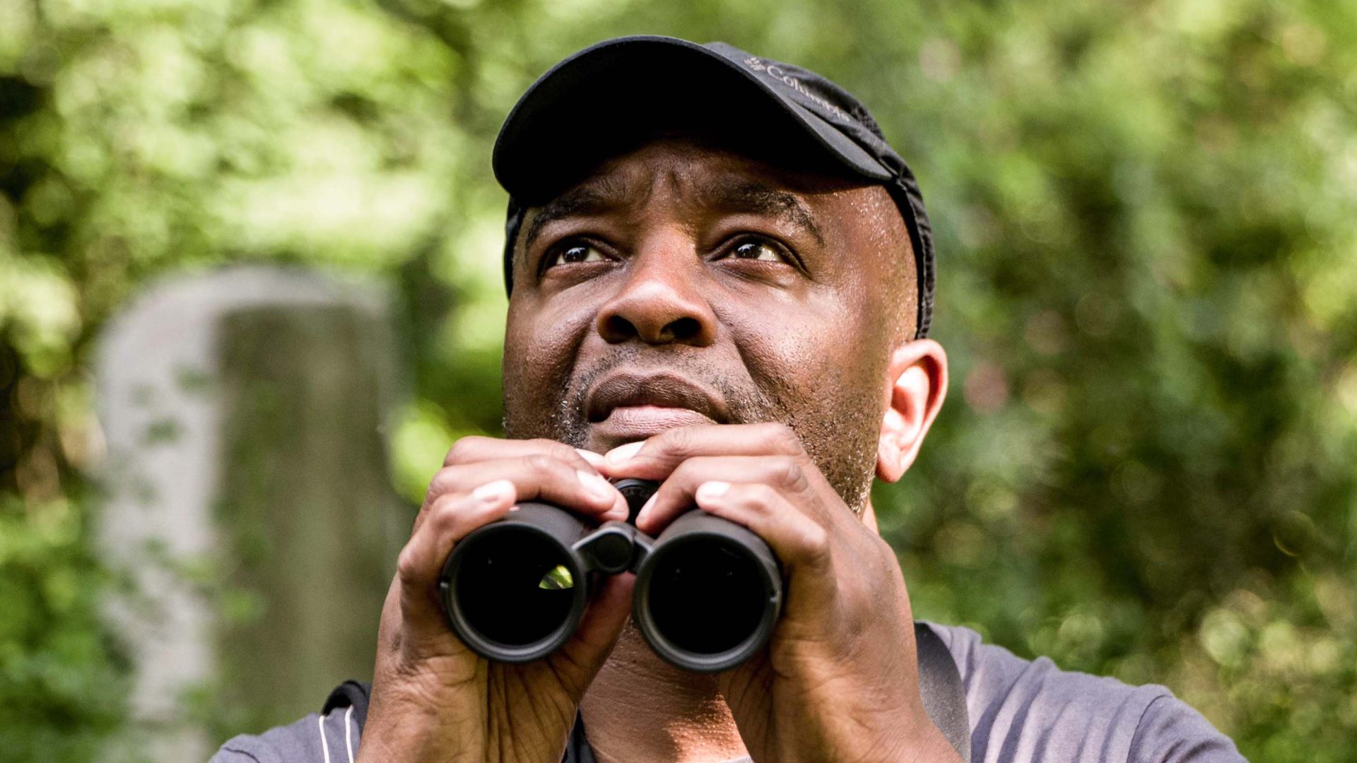 The Urban Birder: The man who wants you to start birdwatching in the city