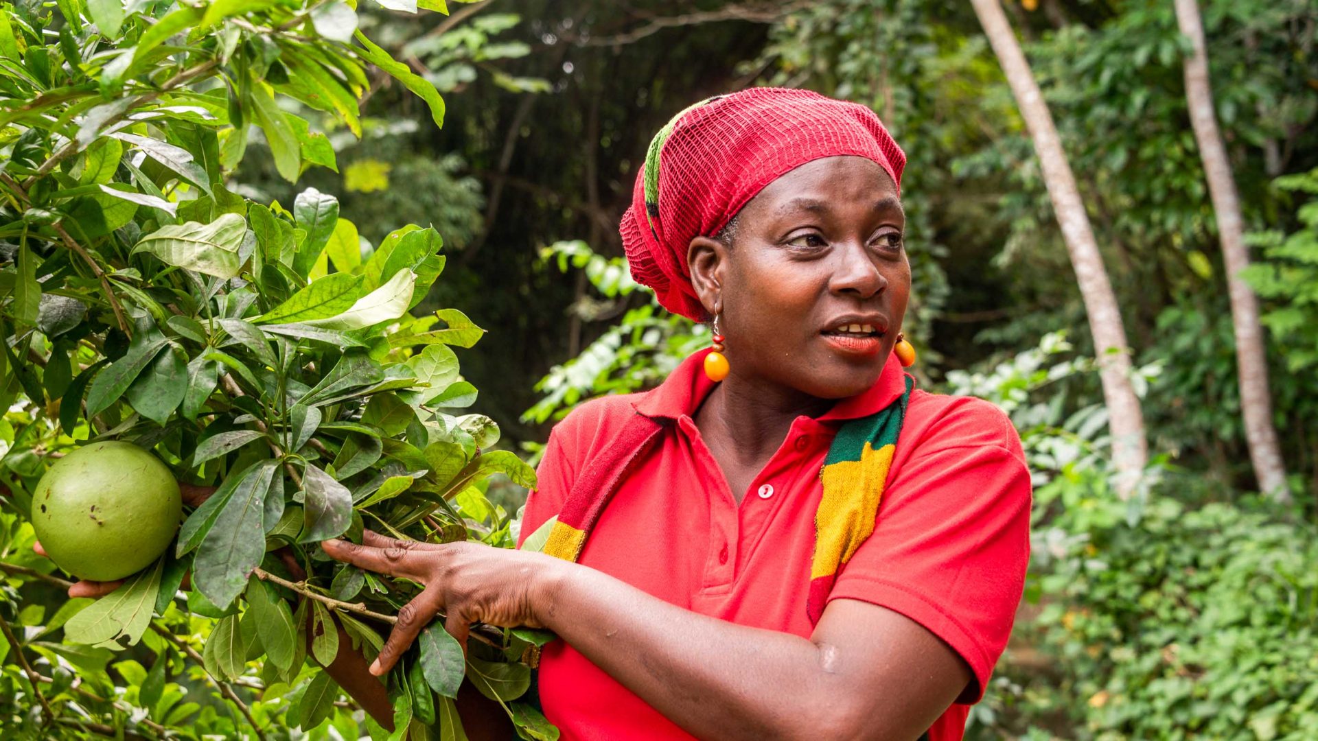 Beyond the dreads: Exploring the Rastafari religion at its roots