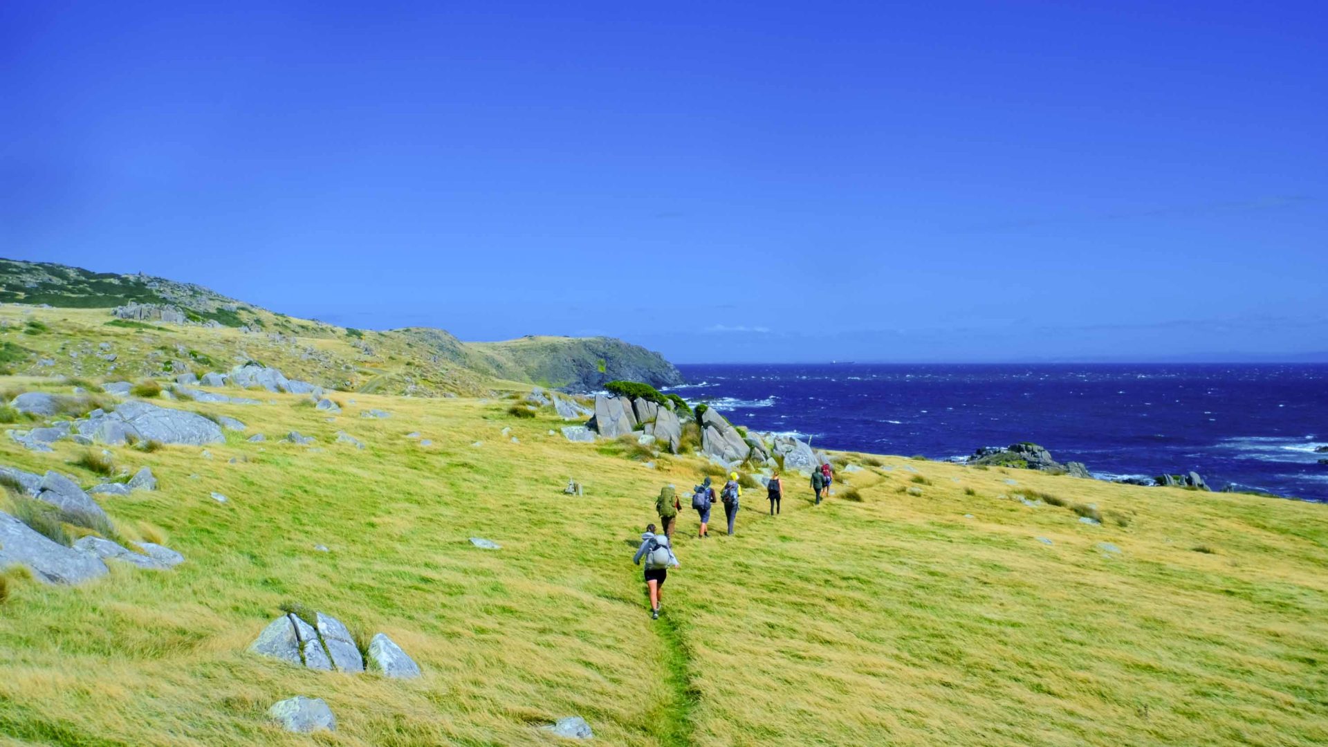 ‘Angels’, ancient trees and acts of kindness abound on New Zealand’s 3,000-kilometer Te Araroa trail