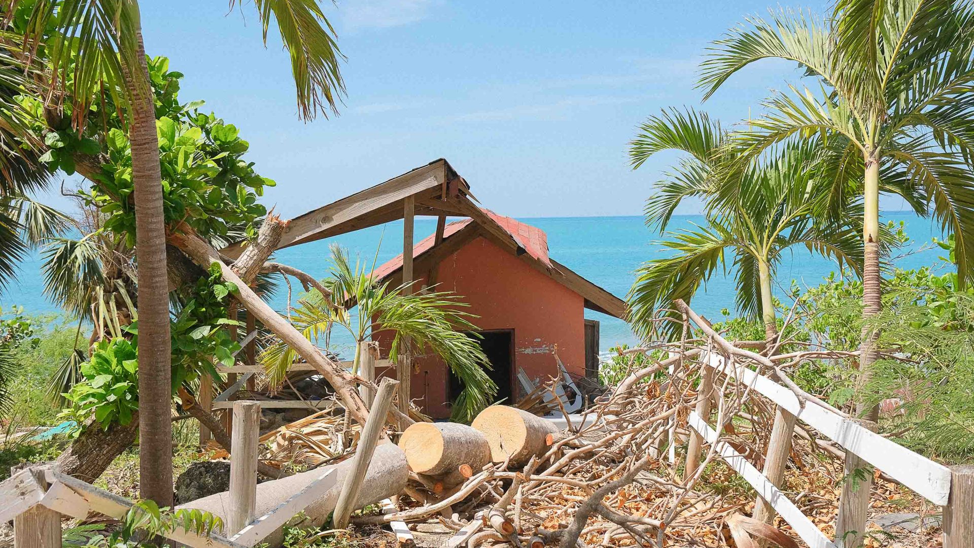 A house by the sea with damage to its roof and a tree down in front of it.