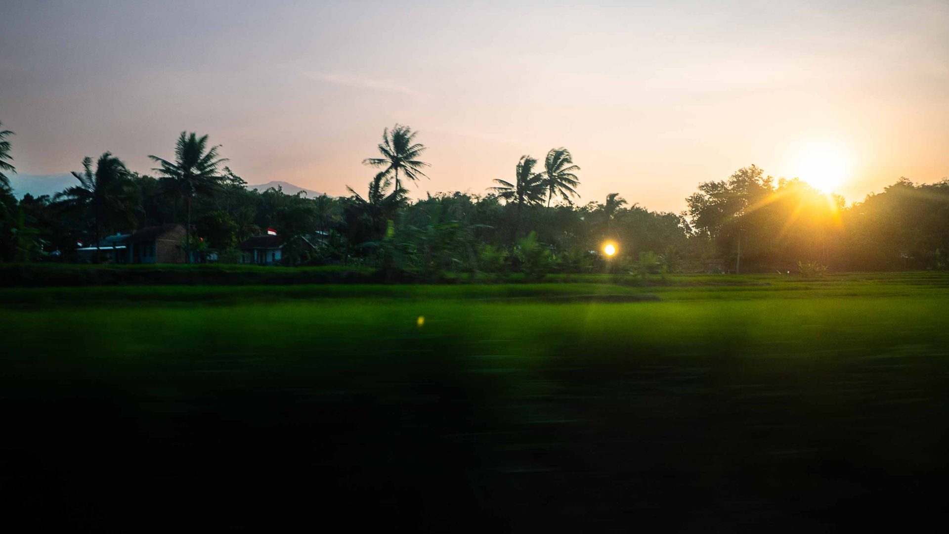 Rice paddies and palm trees are a blur as the train travels past at sunset.