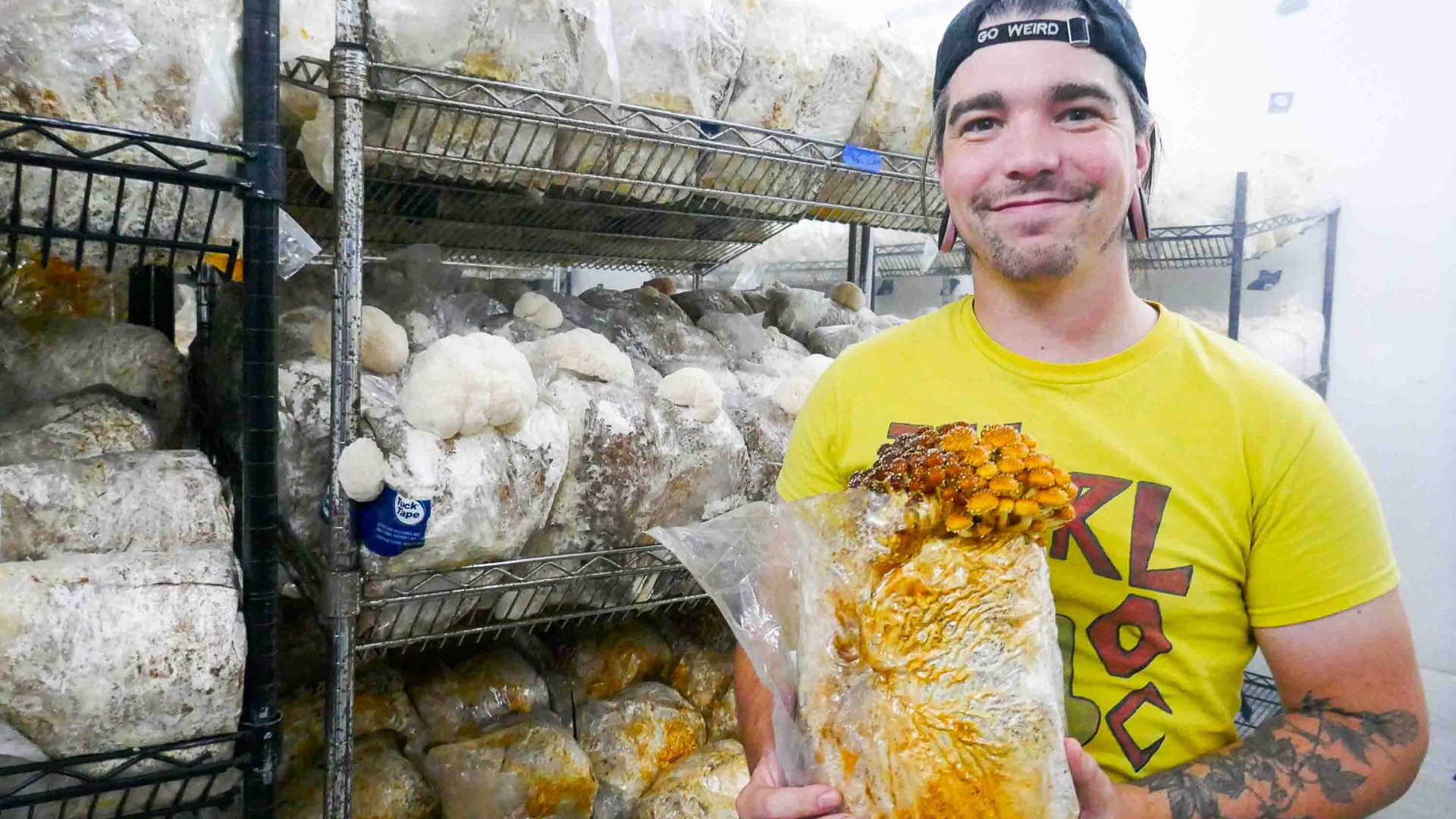 A man holds a container of mushrooms that are growing.