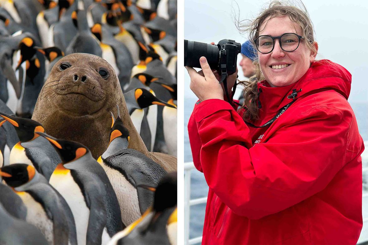 Left: A young elephant seal in a King Penguin colony; Right: Trainee guide Genevieve Early.