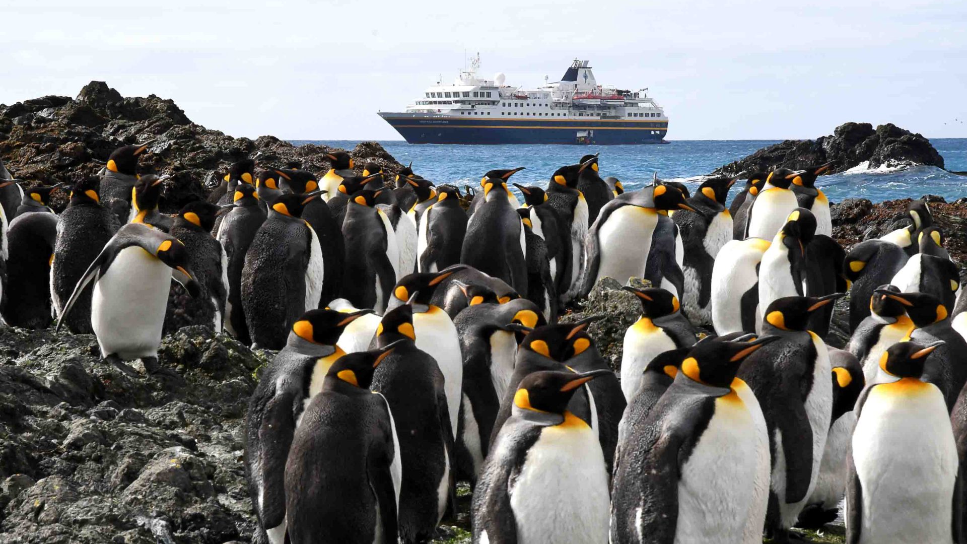 A ship in the background and penguins in the foreground.