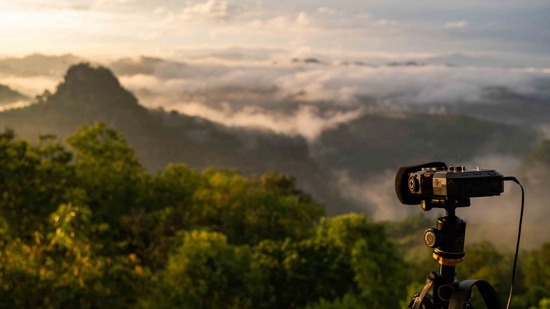 A recording device is pointed toward the hills and trees.