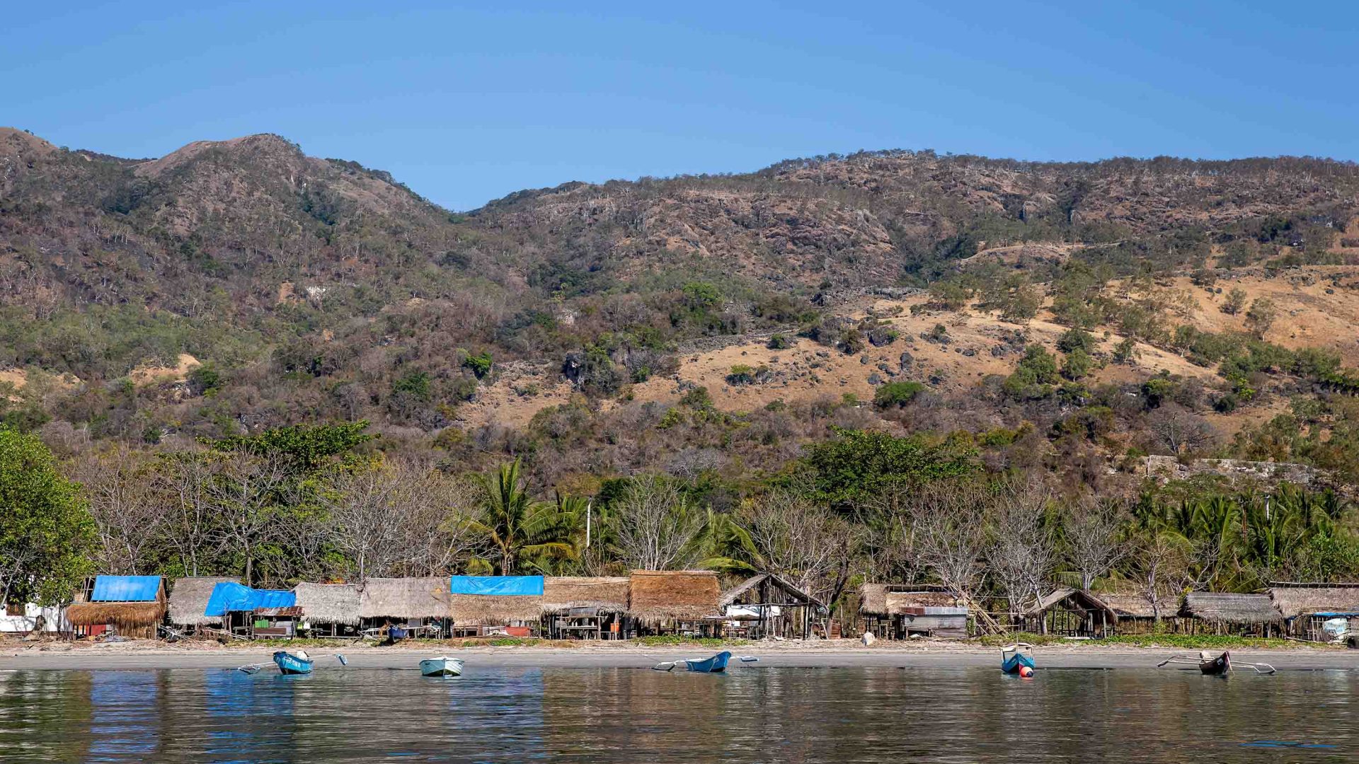 Looking from water to land in Timor Leste. There are small huts lining the shotre.