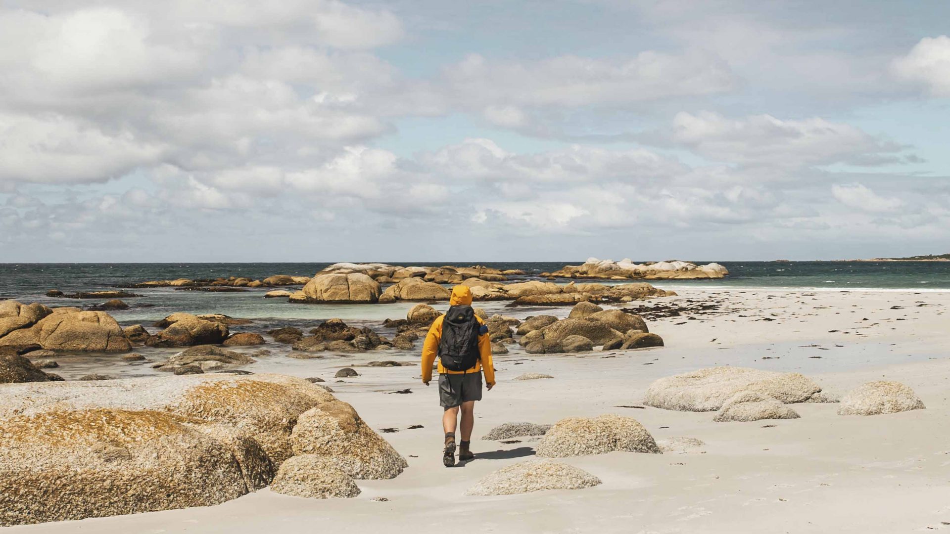 Hiking, healing: On the wukalina Walk, you’ll find culture, nature and knowledge